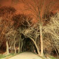 Shokat Abad Garden